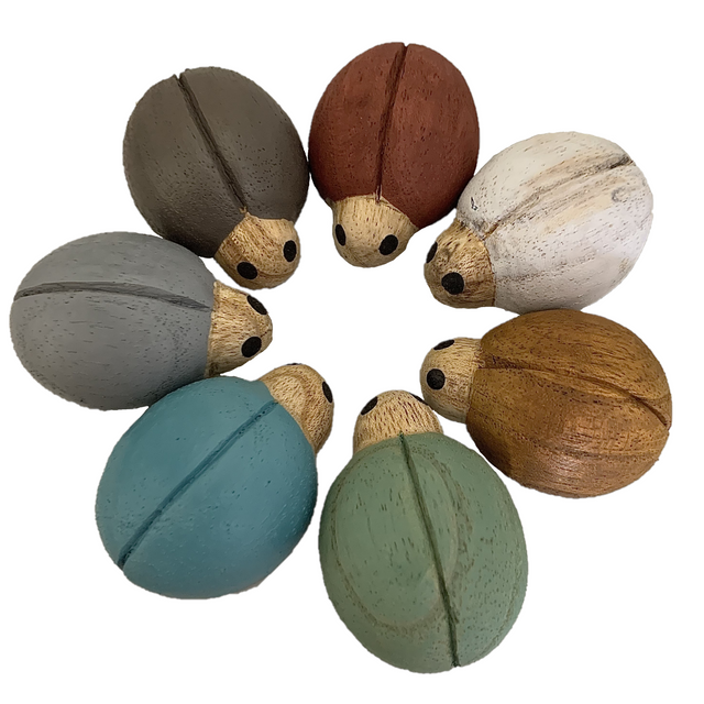 Earth Ladybirds/7pc