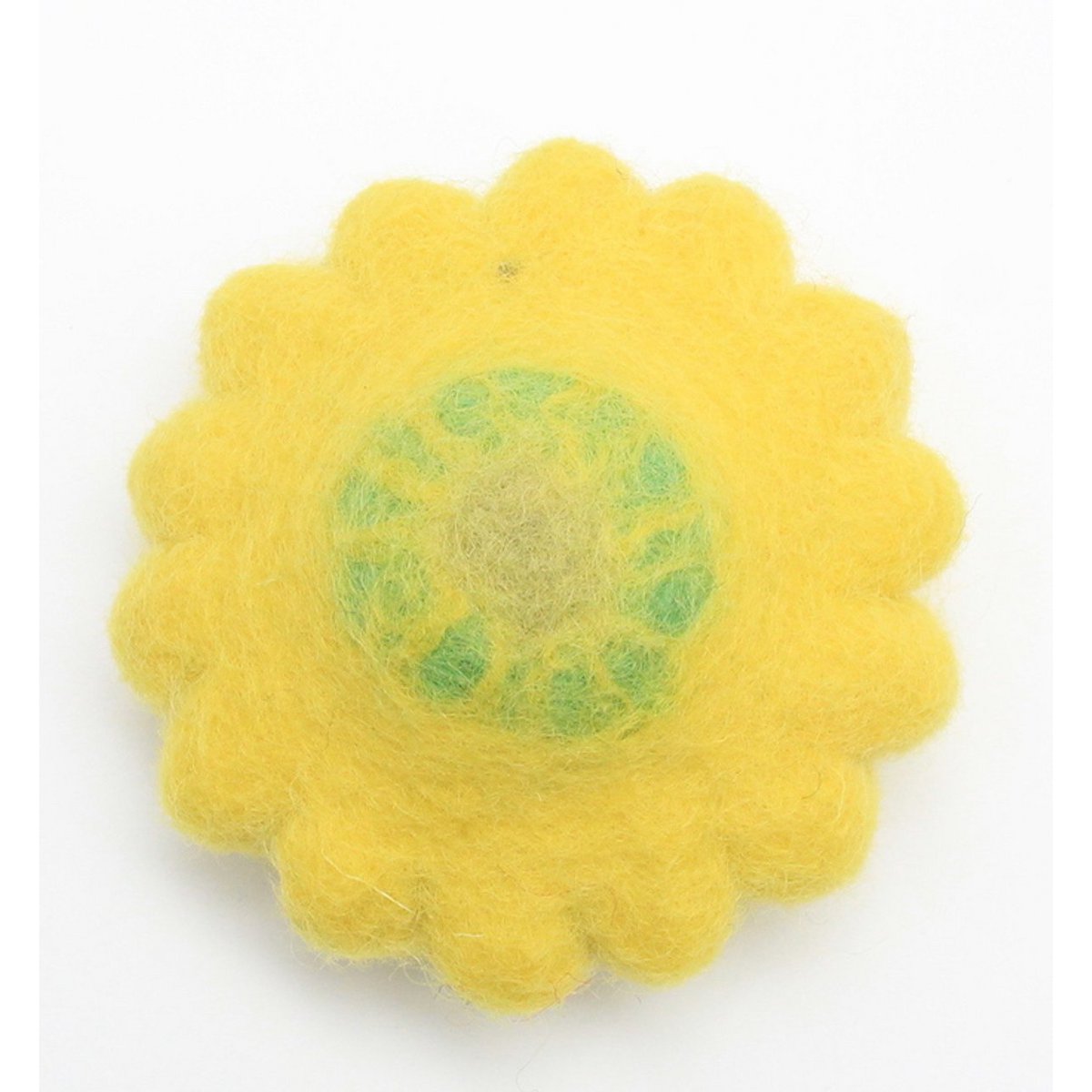 Squash/4pc