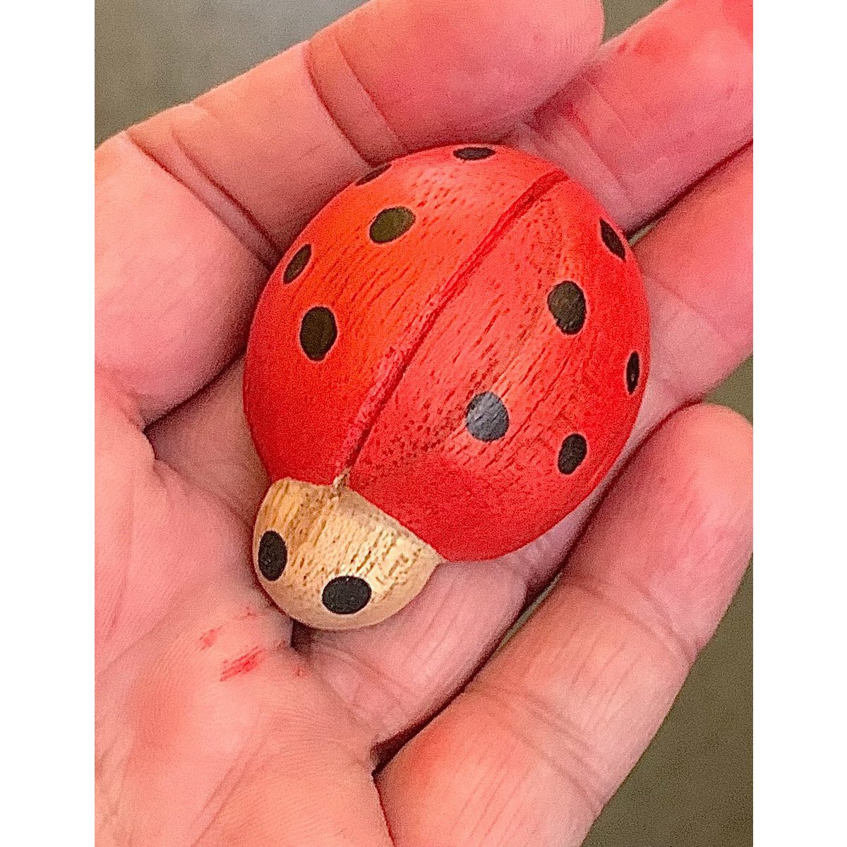 Red Ladybirds/7pc