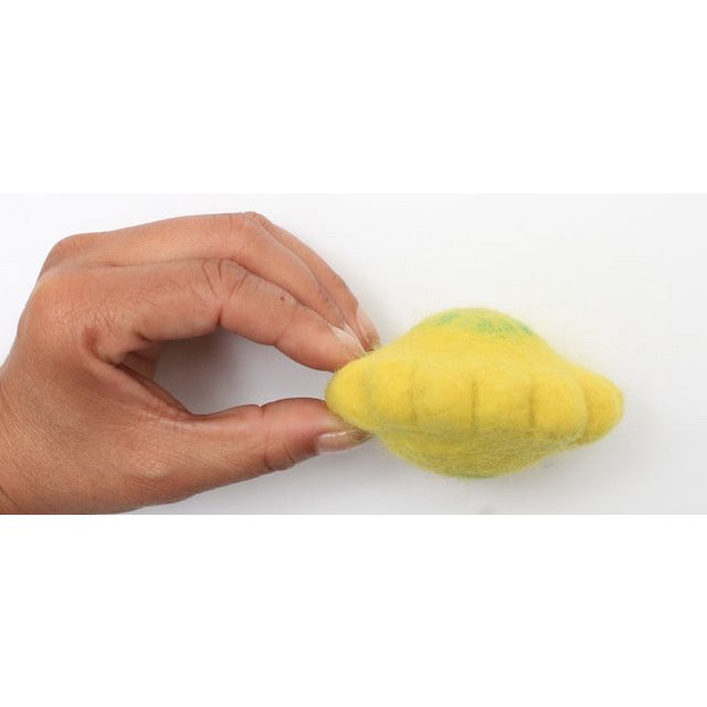 Squash/4pc