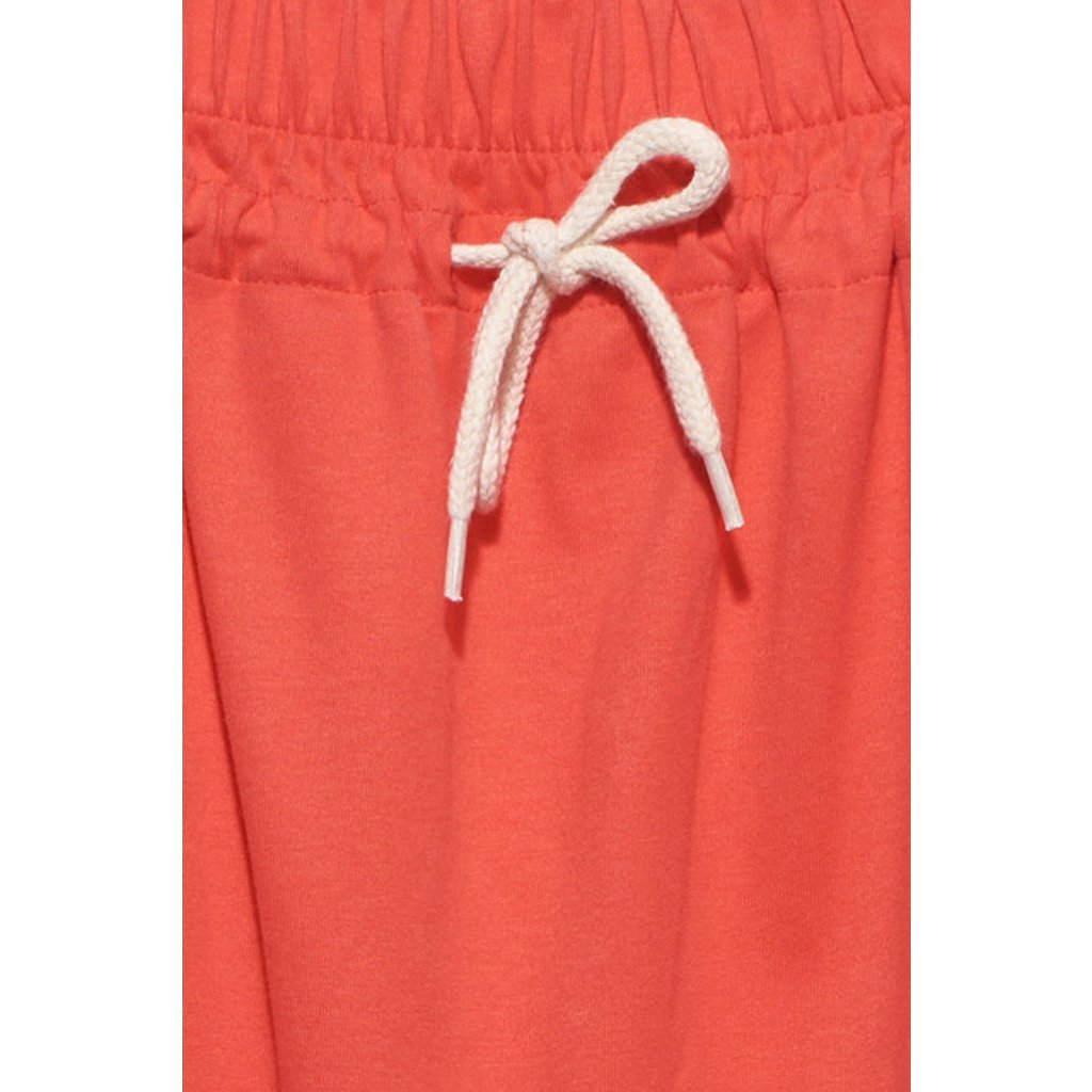 Paarse rok in rood voor dames