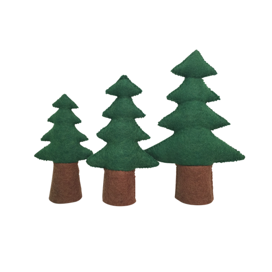 Pine Trees/3
