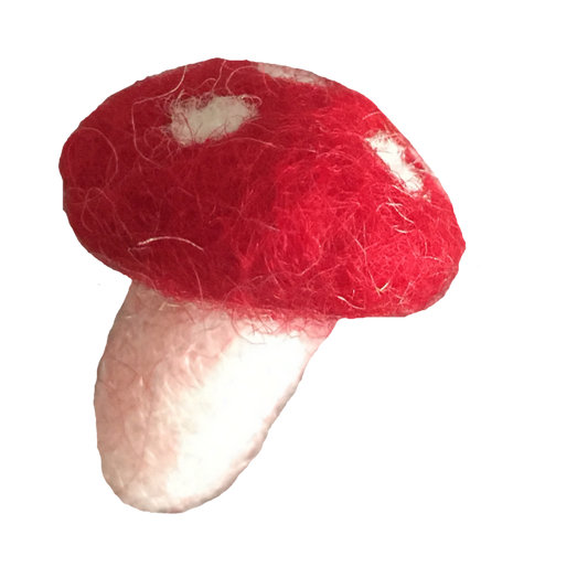 PD Mushroom 2cm/10pc