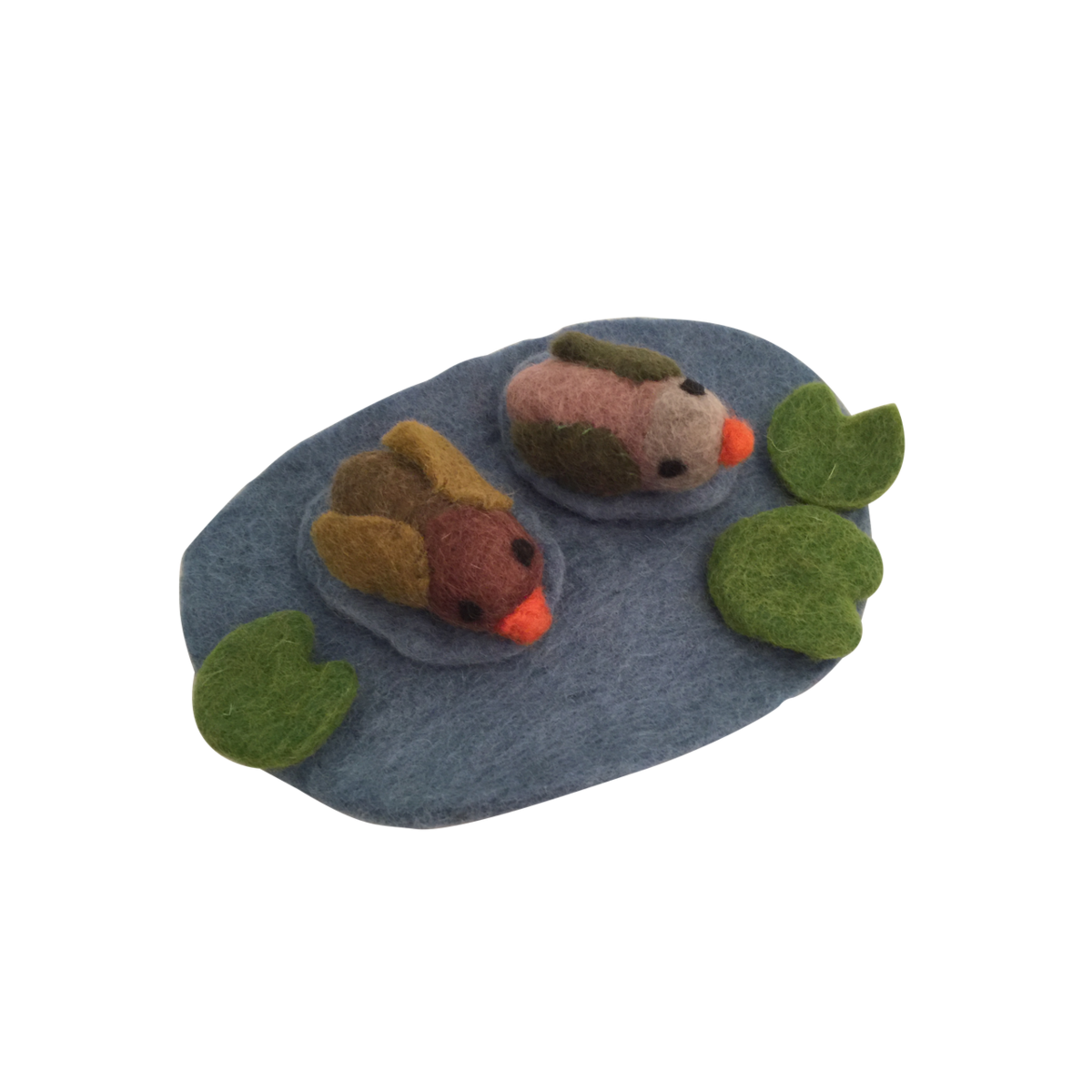 Papoose Village Pond Ducks