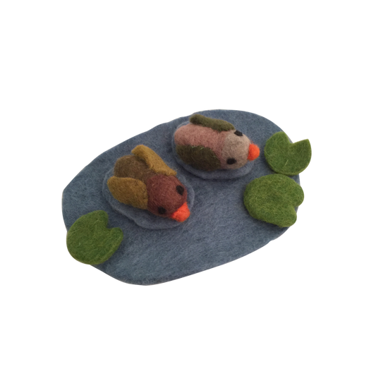 Papoose Village Pond Ducks