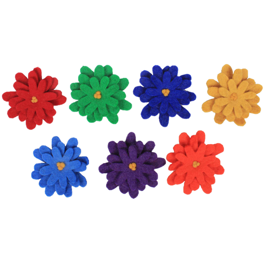Rainbow Asters/7pc