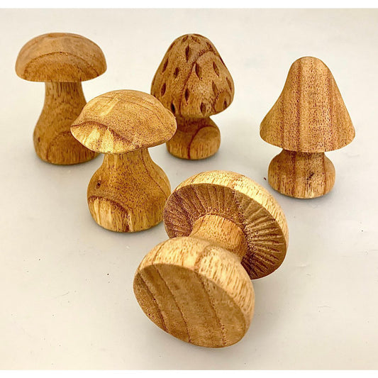 Mushrooms Hand Carved/5pc
