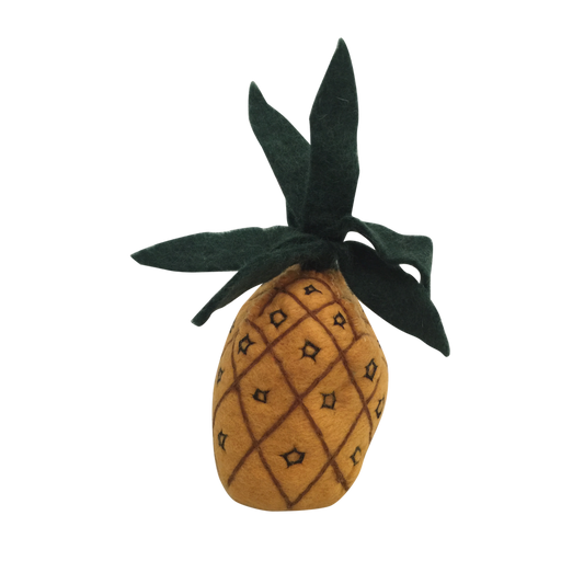 Fruit Pineapple
