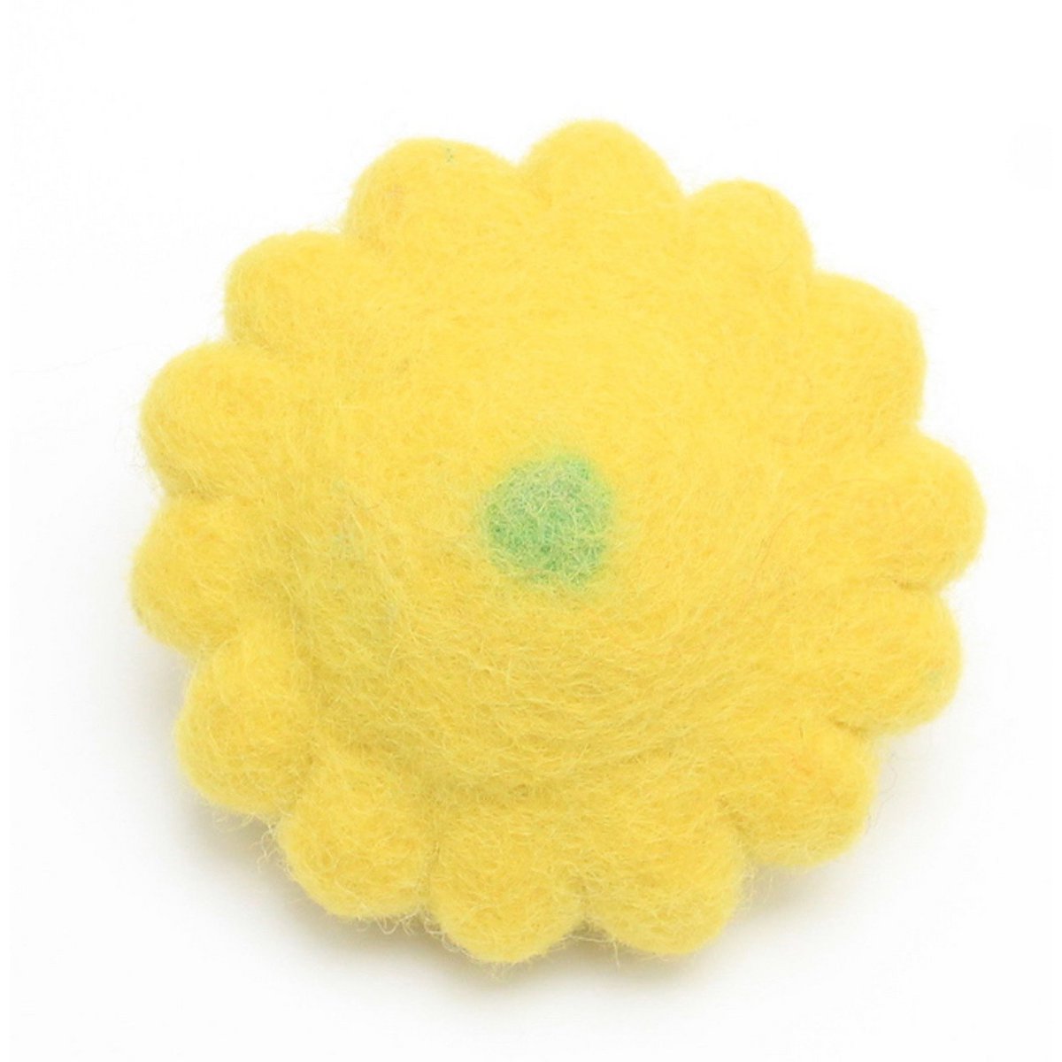 Squash/4pc