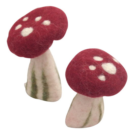 Holle Champignons Medium/6st