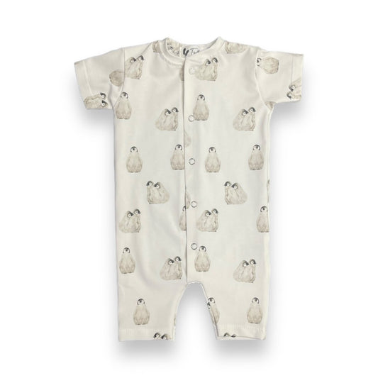 Boxpakje zomer penguin