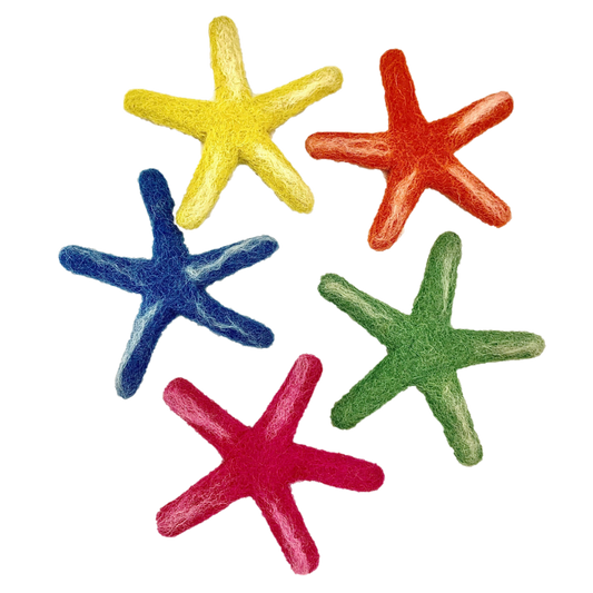 Sea Star Laevigata/5pc