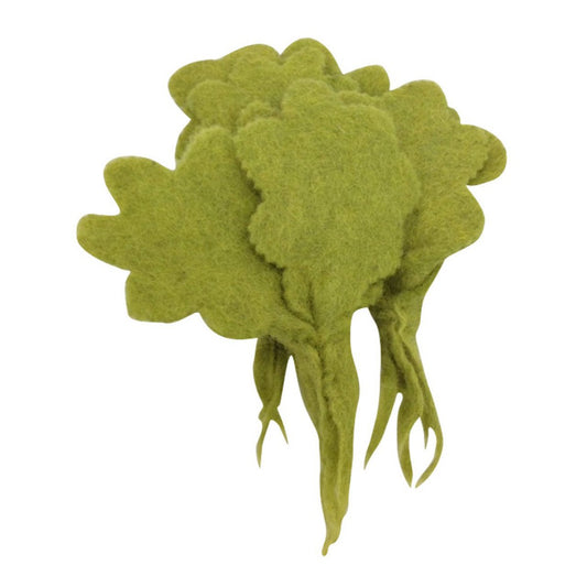 Mini Lettuce/3